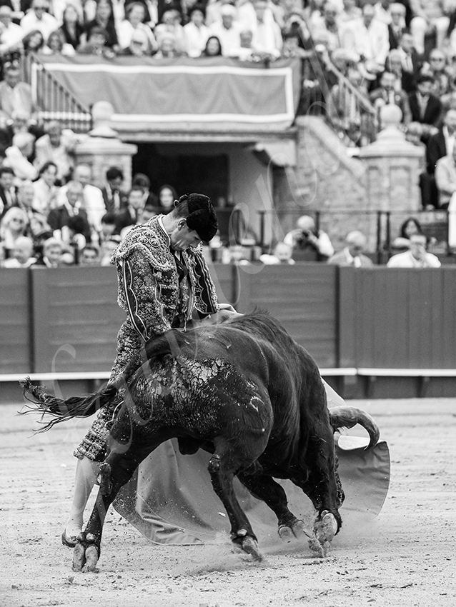 20260423 sevilla fd 004 copie