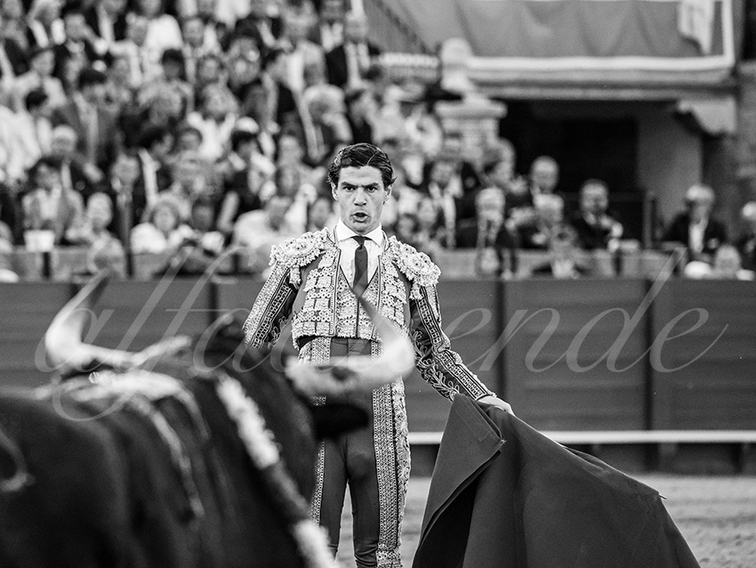 20260424 sevilla fd 026 copie