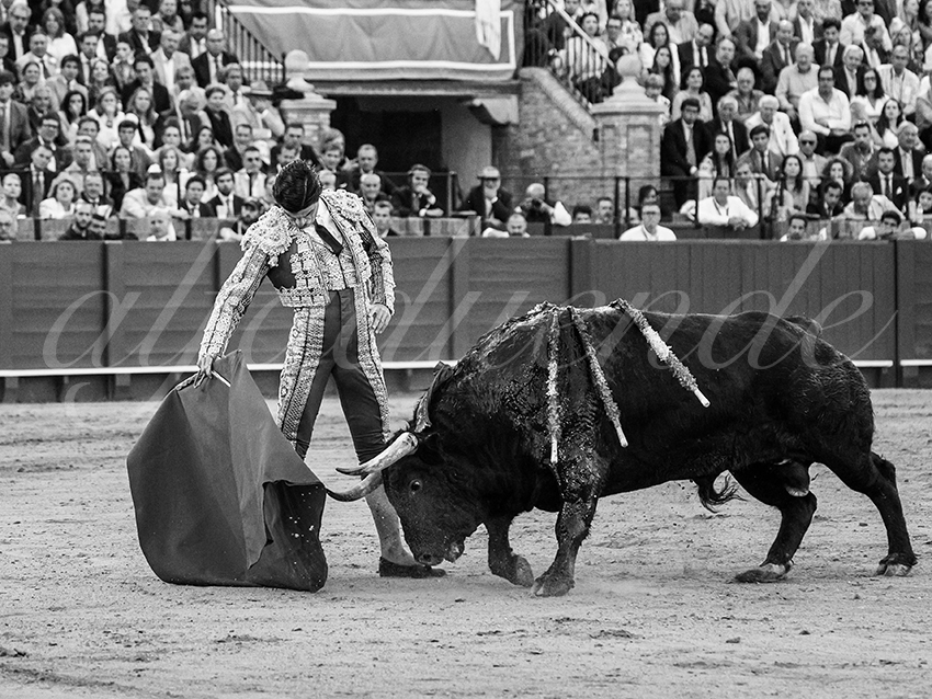 20260424 sevilla fd 025 copie