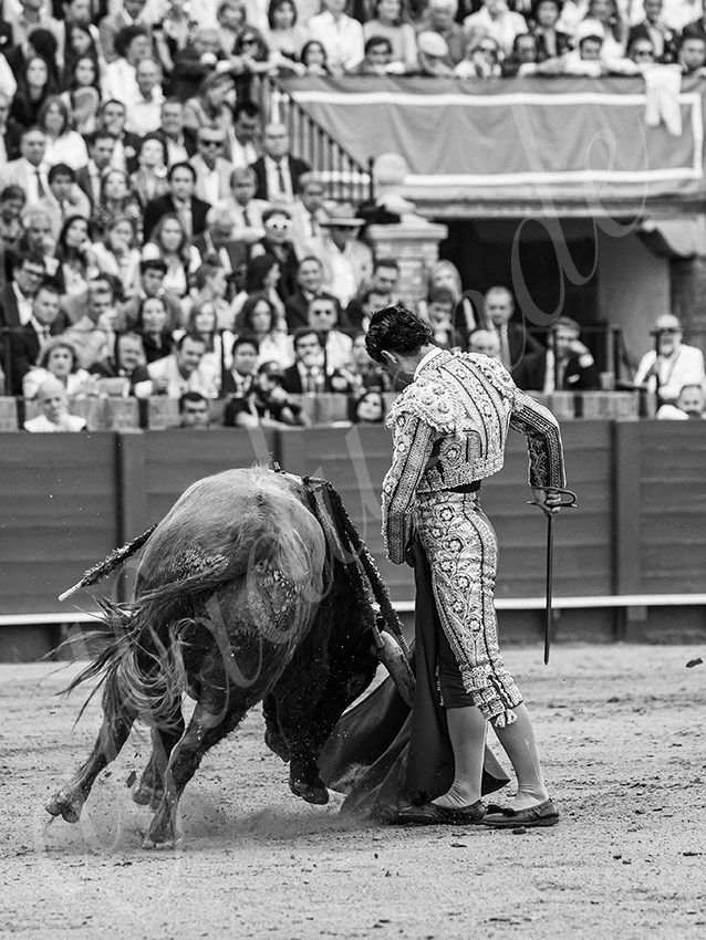 20260424 sevilla fd 023 copie