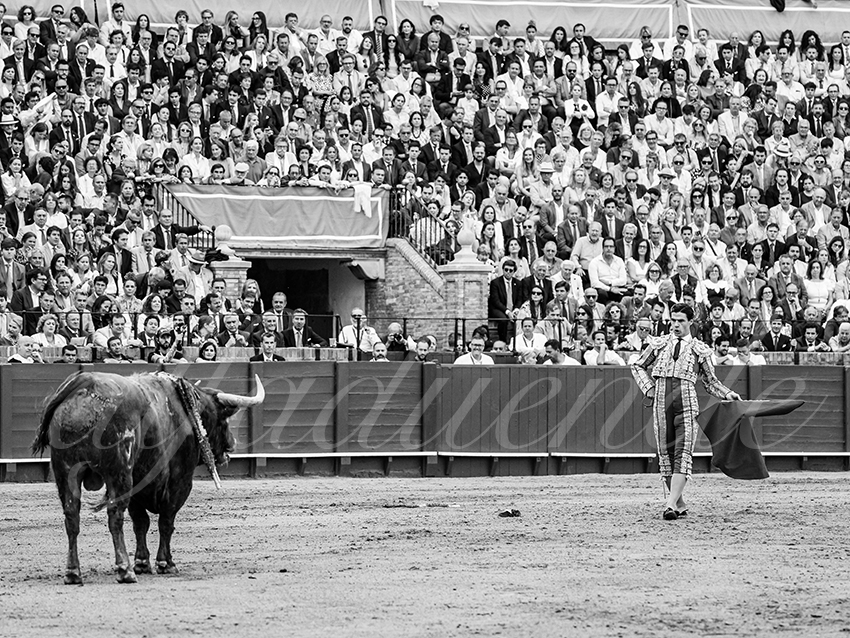 20260424 sevilla fd 022 copie