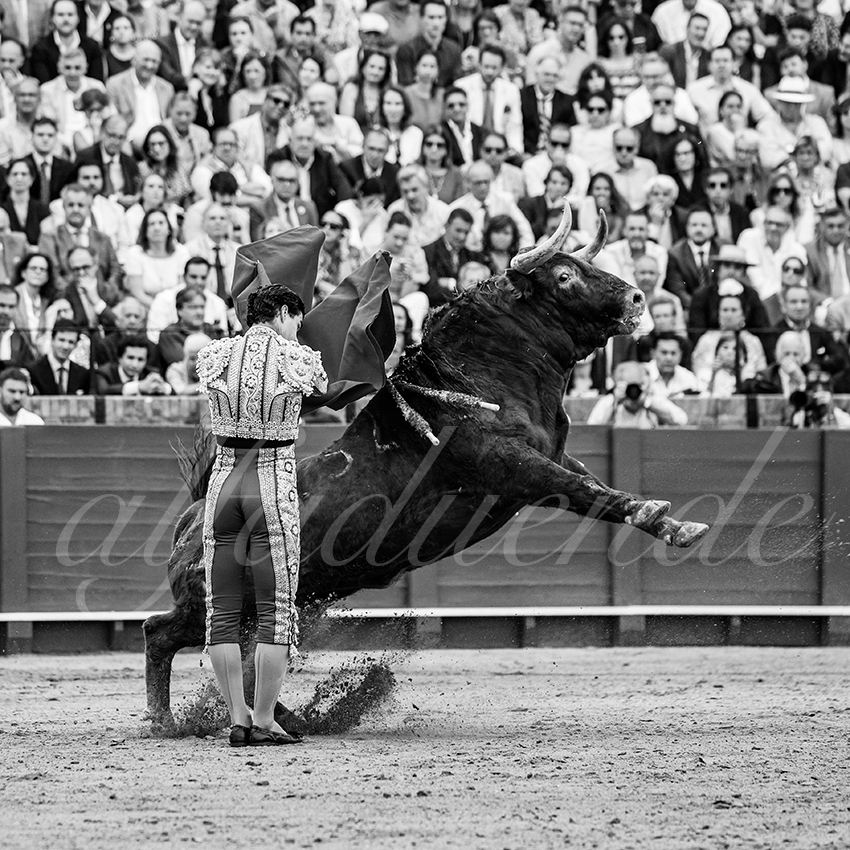 20260424 sevilla fd 021 copie
