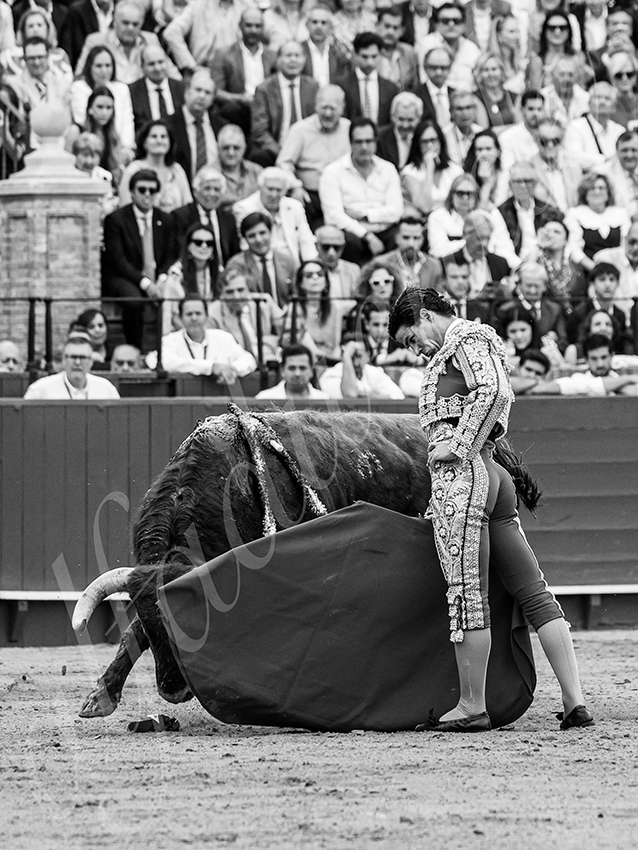 20260424 sevilla fd 020 copie