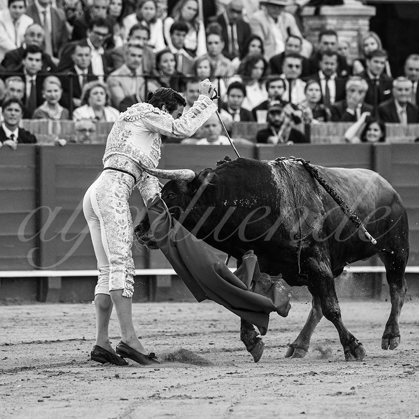 20260424 sevilla fd 018 copie