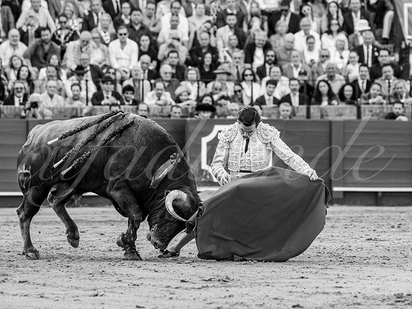 20260424 sevilla fd 017 copie