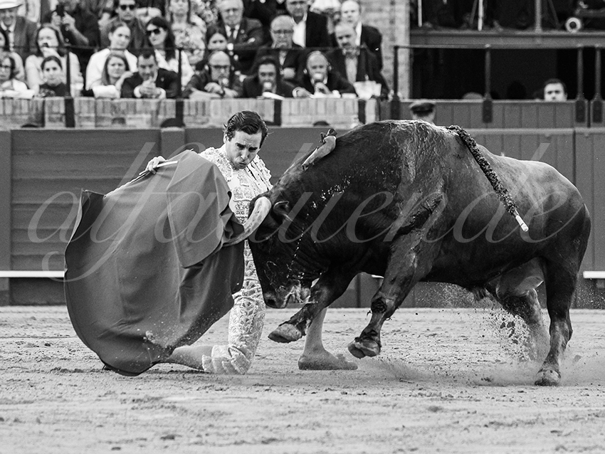 20260424 sevilla fd 016 copie