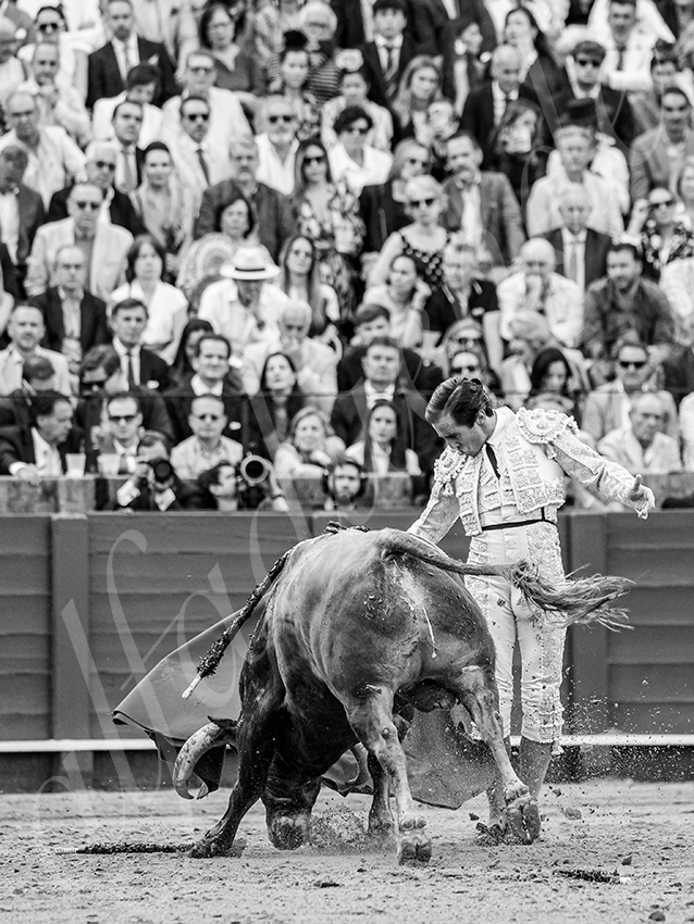 20260424 sevilla fd 013 copie