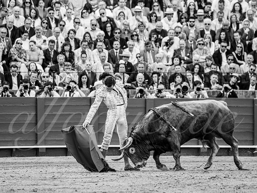 20260424 sevilla fd 012 copie