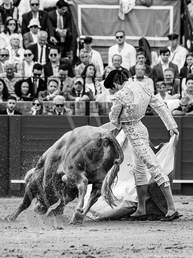 20260424 sevilla fd 011 copie