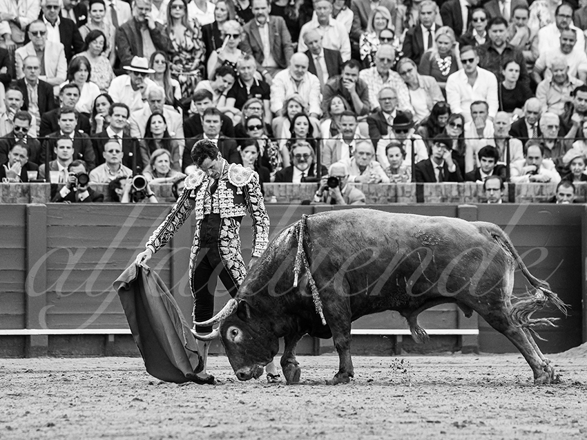 20260424 sevilla fd 009 copie