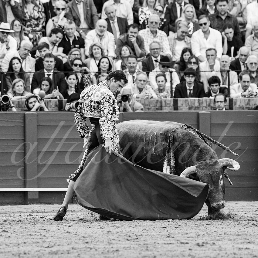 20260424 sevilla fd 008 copie