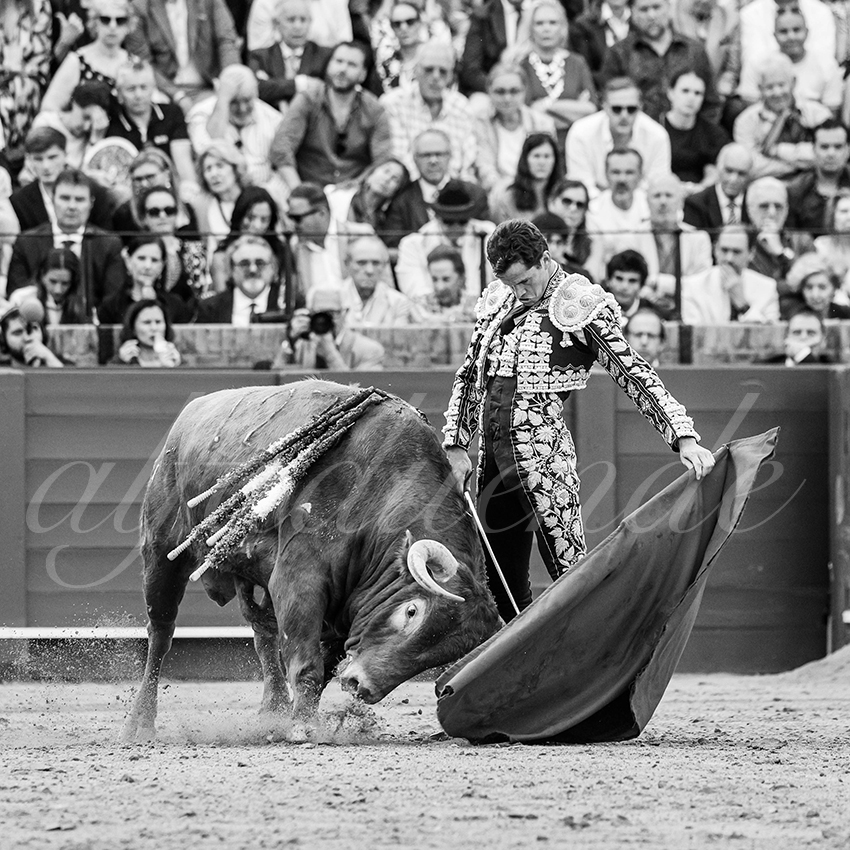 20260424 sevilla fd 007 copie