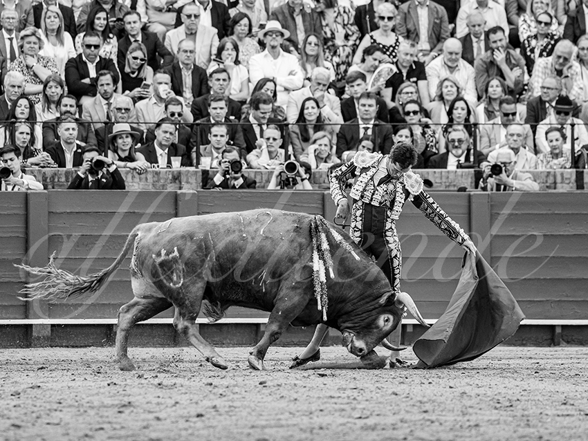 20260424 sevilla fd 006 copie