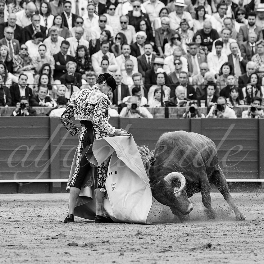 20260424 sevilla fd 005 copie