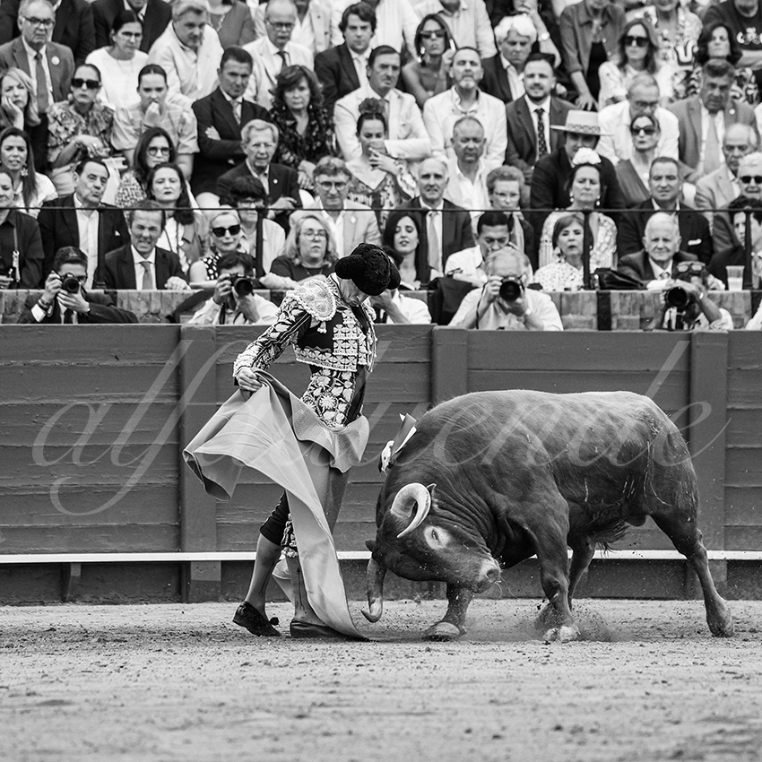 20260424 sevilla fd 004 copie