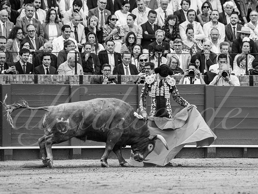 20260424 sevilla fd 003 copie