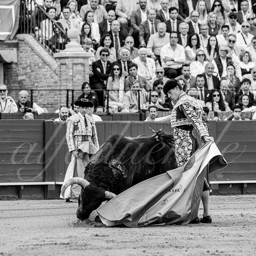 20260424 sevilla fd 002 copie