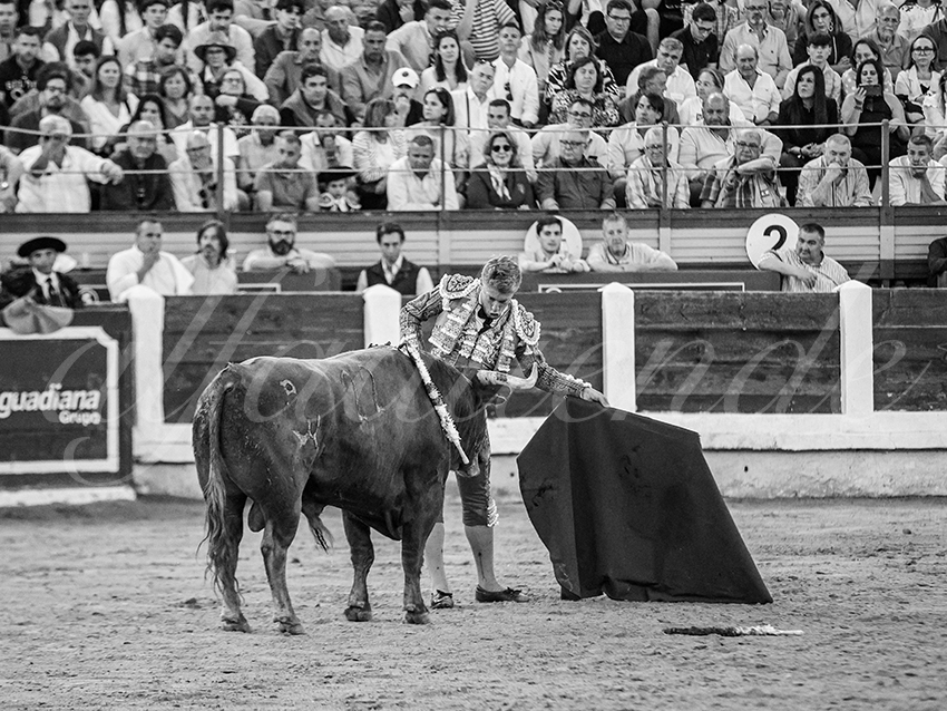 20260425 merida fd 026 copie