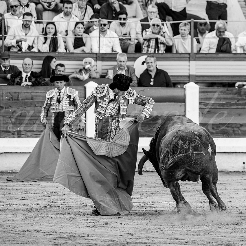 20260425 merida fd 016 copie