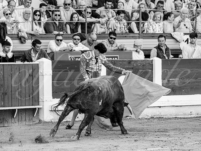 20260425 merida fd 015 copie