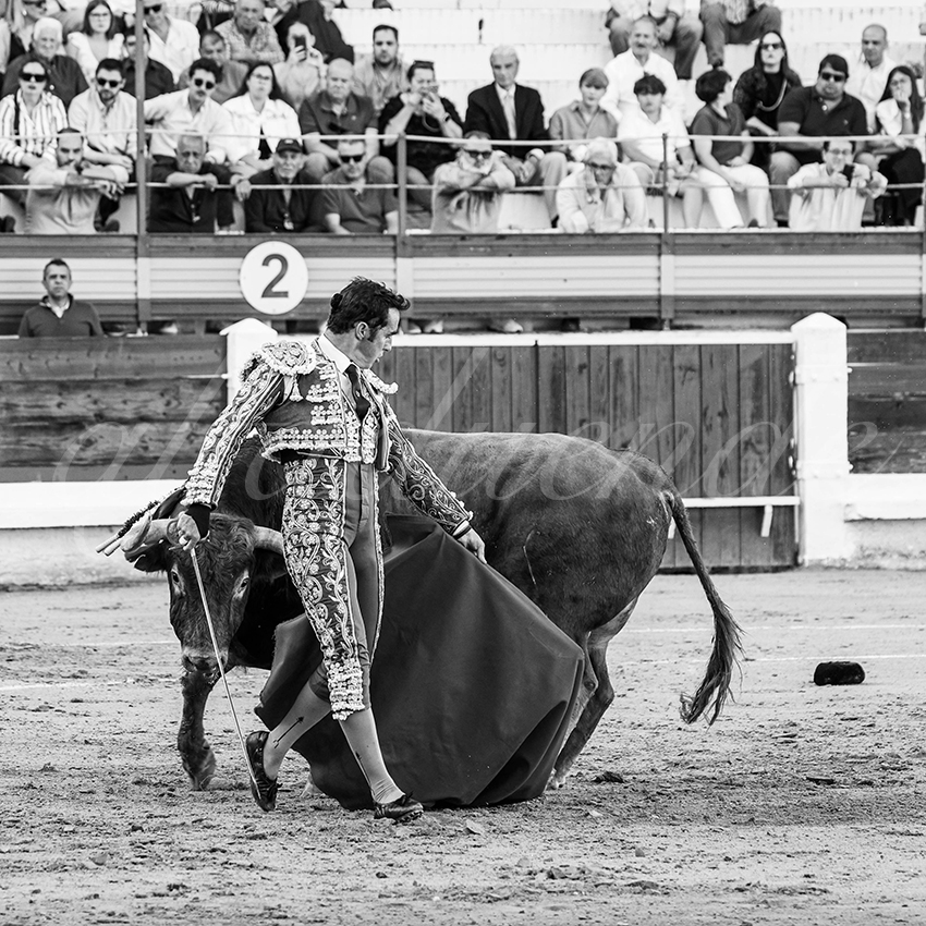 20260425 merida fd 009 copie