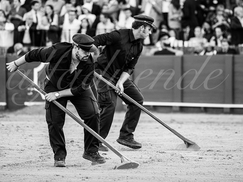 20260426 sevilla fd 040