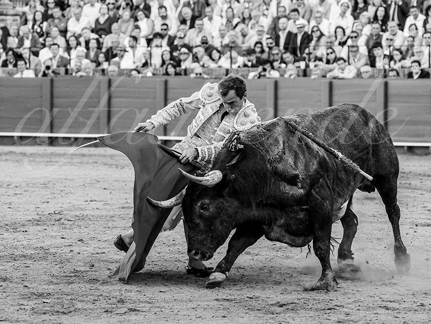 20260426 sevilla fd 039