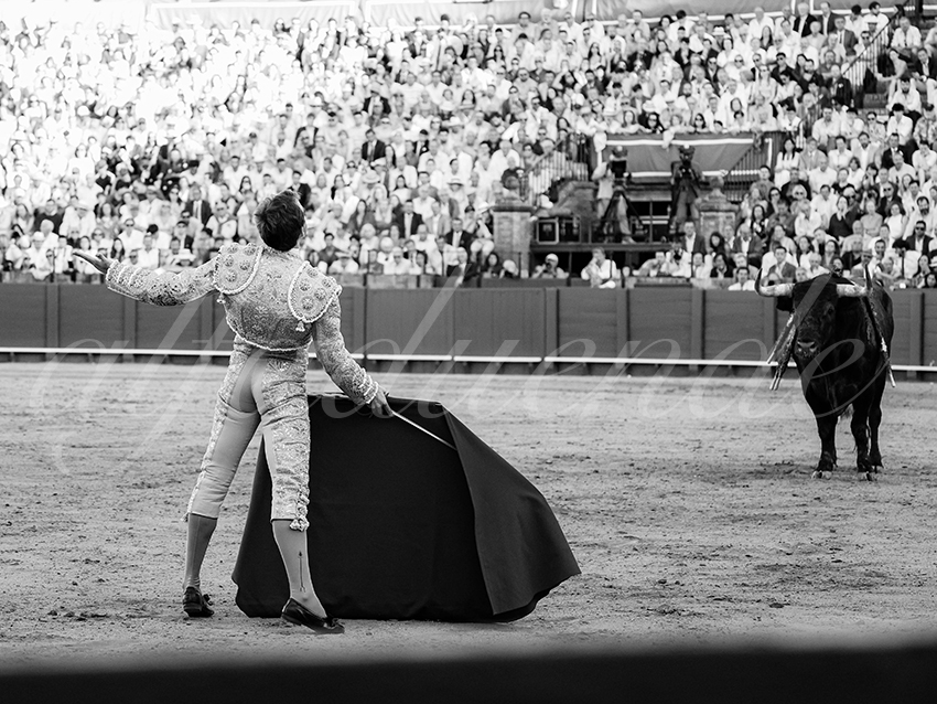 20260426 sevilla fd 038