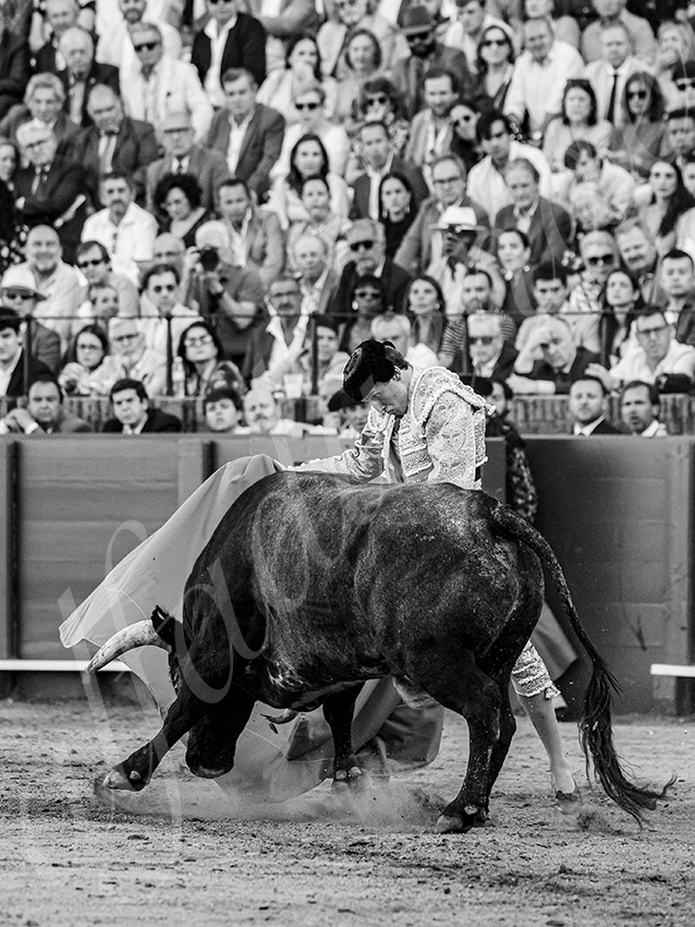 20260426 sevilla fd 035