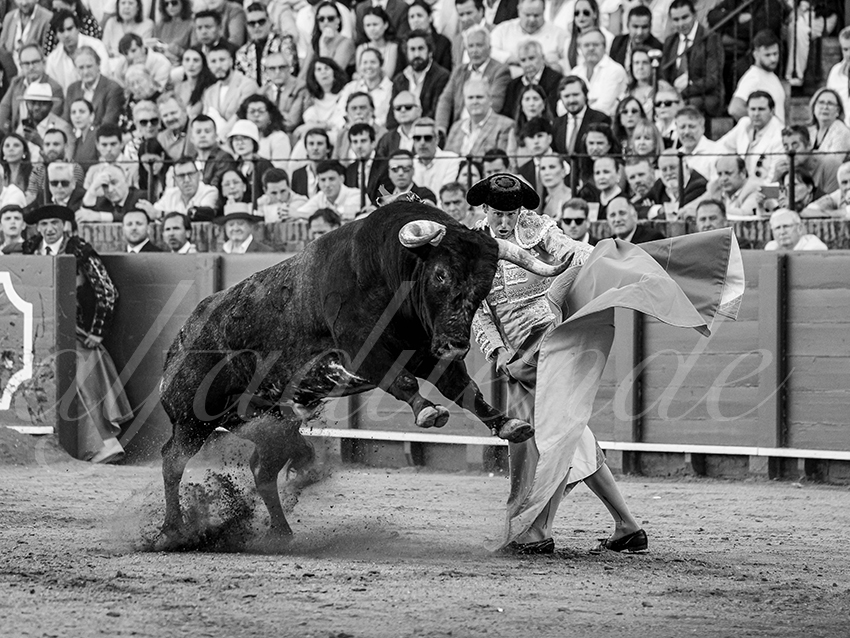 20260426 sevilla fd 034