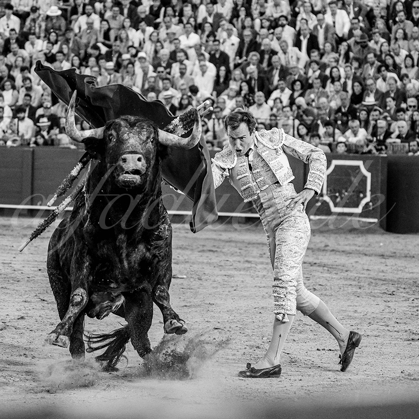 20260426 sevilla fd 032