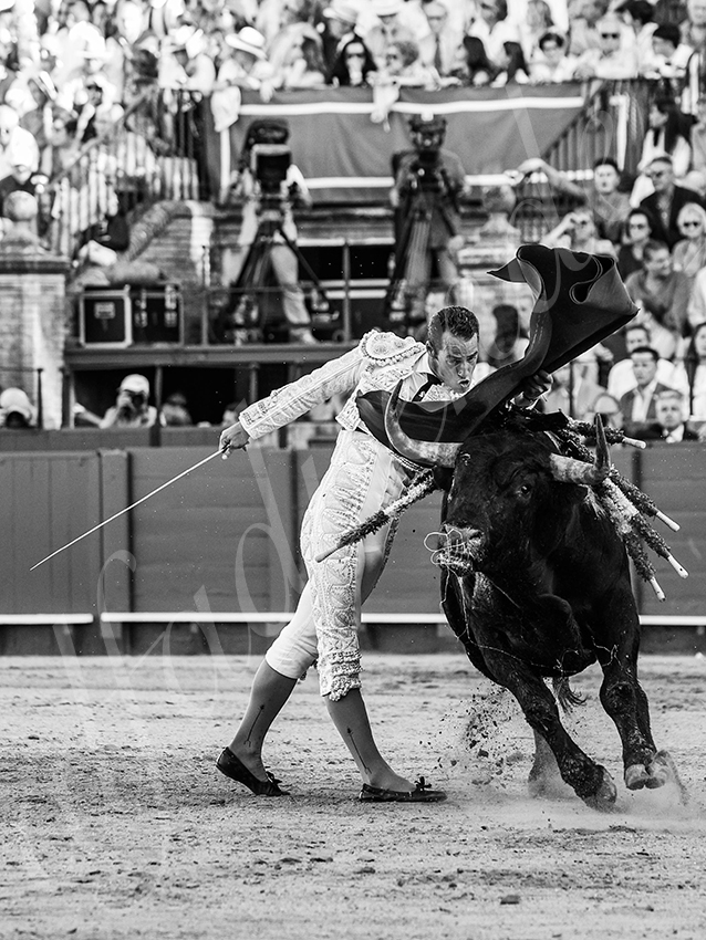 20260426 sevilla fd 031