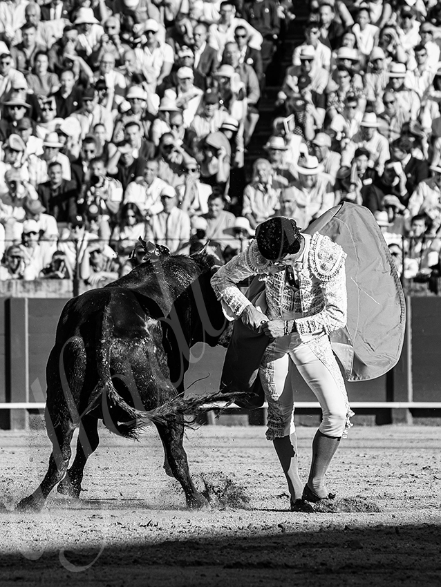 20260426 sevilla fd 030