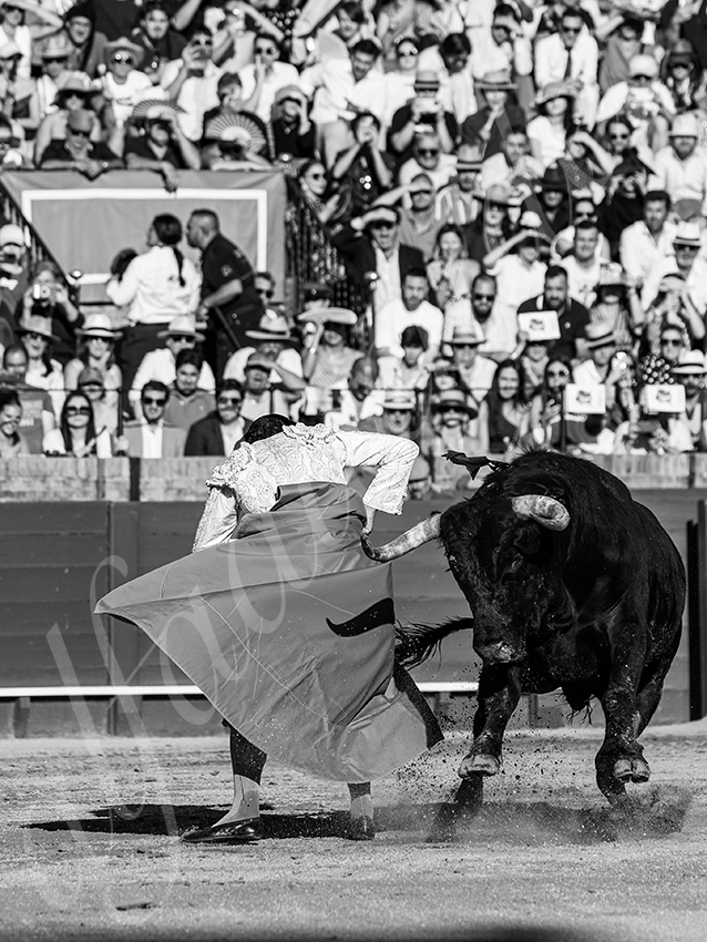 20260426 sevilla fd 029