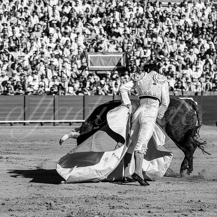 20260426 sevilla fd 028