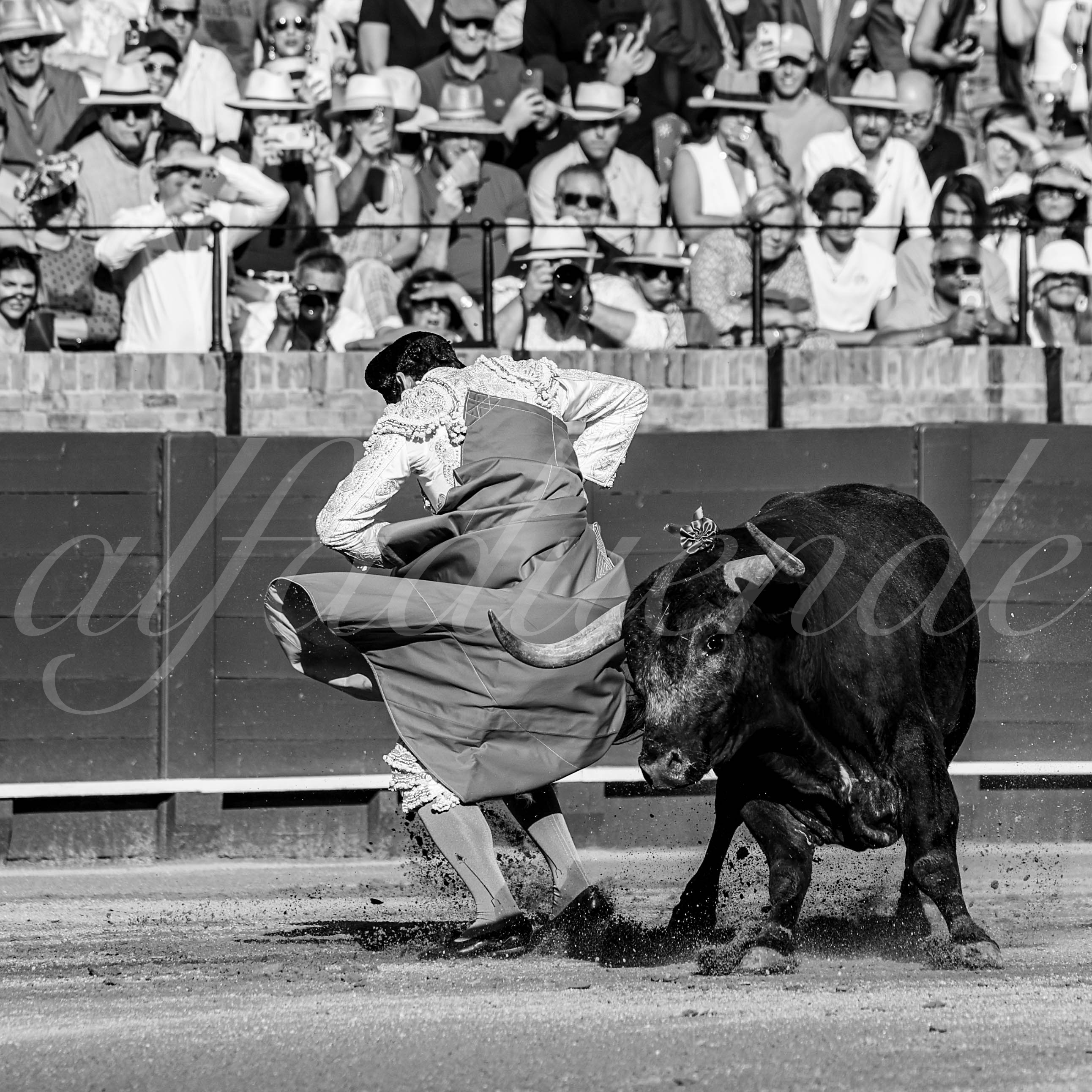 20260426 sevilla fd 027