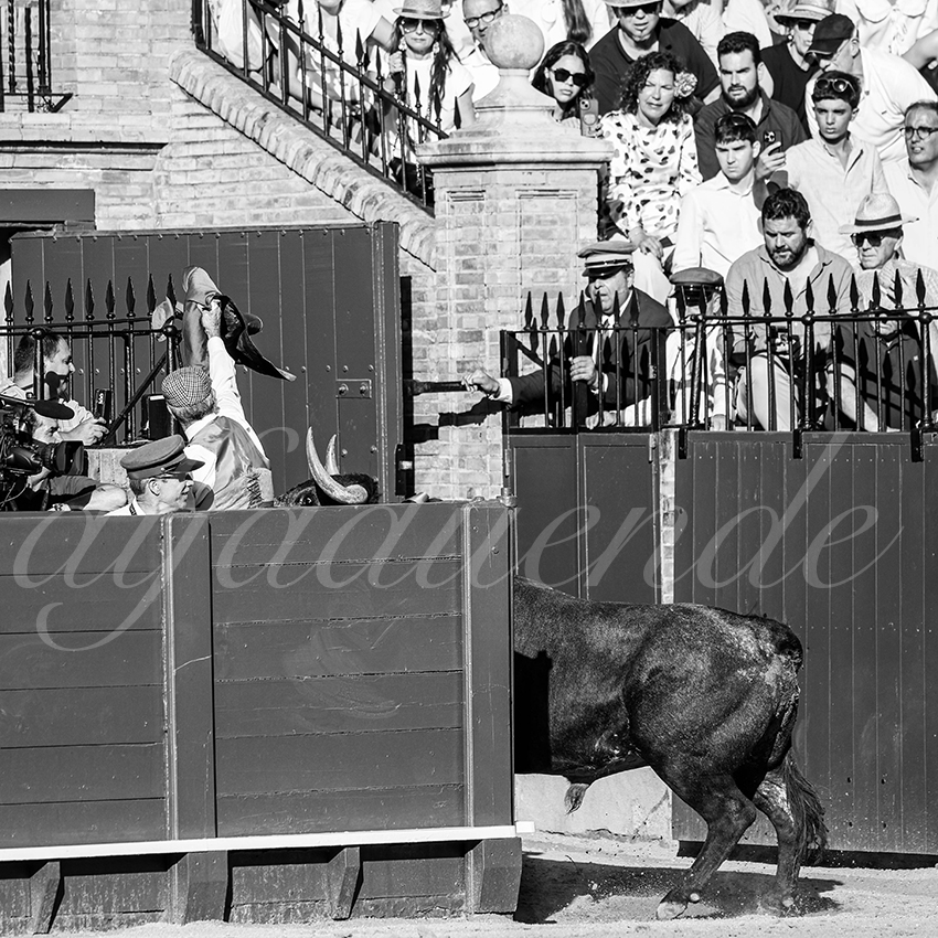 20260426 sevilla fd 026