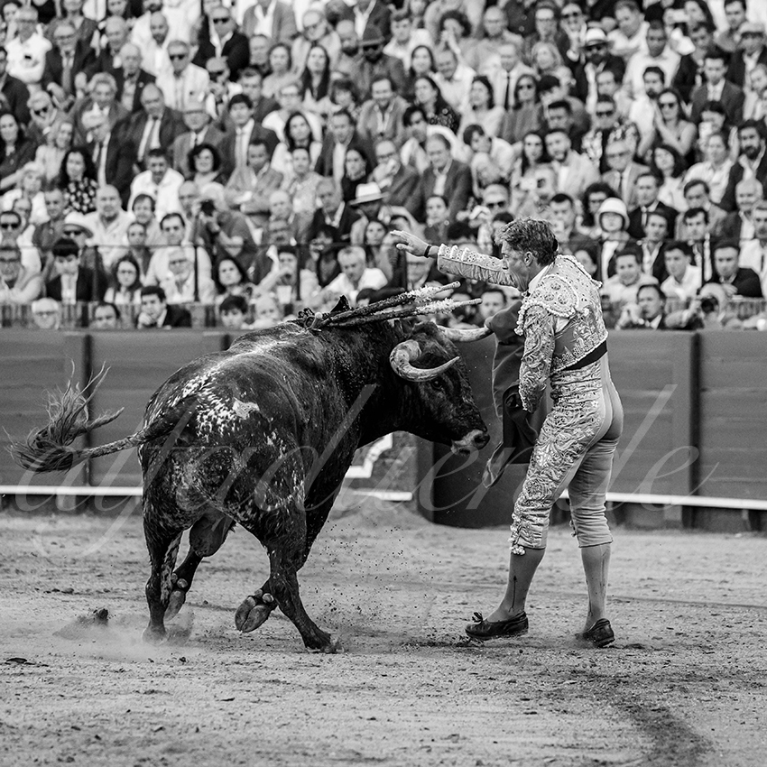 20260426 sevilla fd 023