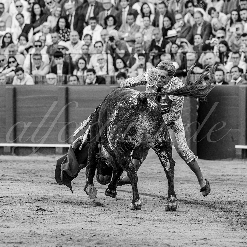 20260426 sevilla fd 022