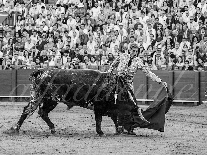 20260426 sevilla fd 021