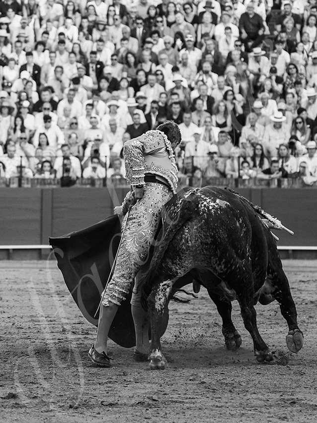 20260426 sevilla fd 020