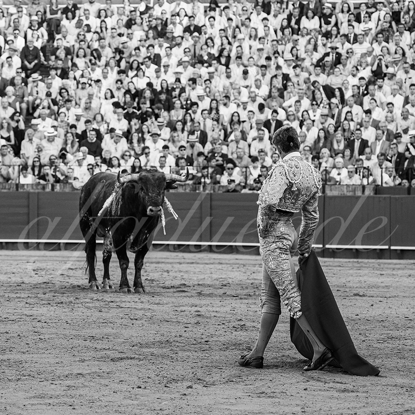 20260426 sevilla fd 019