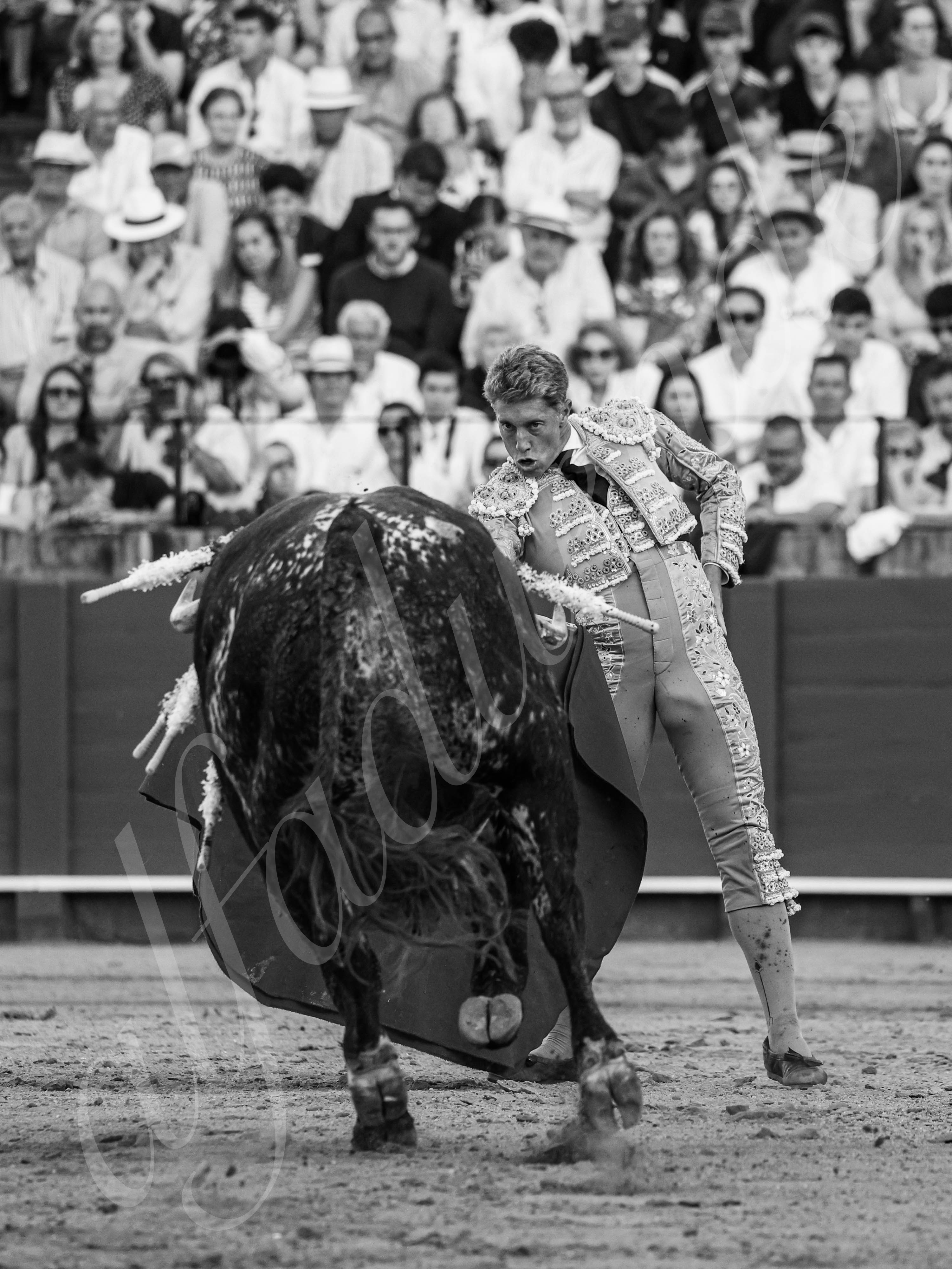 20260426 sevilla fd 018