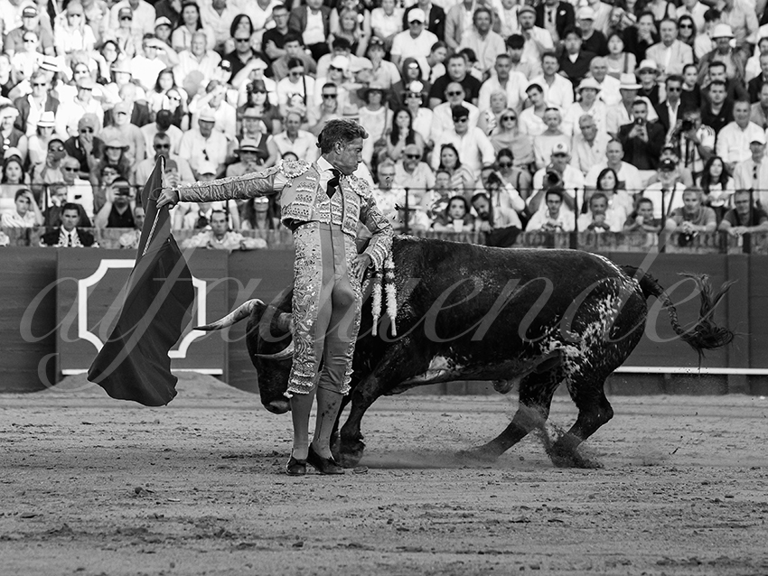 20260426 sevilla fd 017