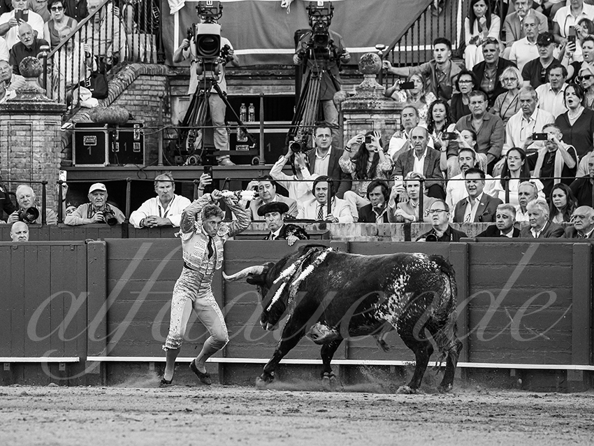 20260426 sevilla fd 016