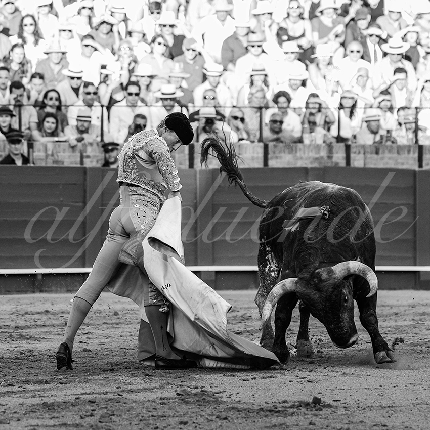 20260426 sevilla fd 015