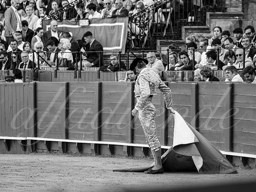 20260426 sevilla fd 014