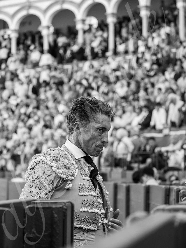 20260426 sevilla fd 013