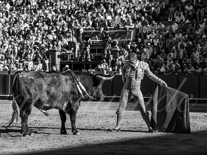 20260426 sevilla fd 012