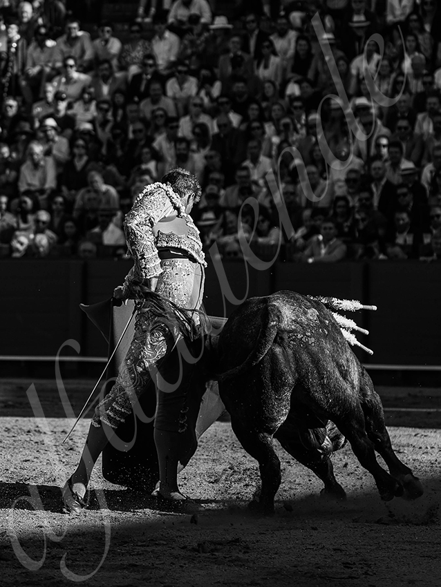 20260426 sevilla fd 011